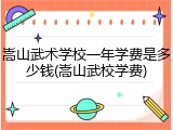 嵩山武术学校一年学费是多少钱(嵩山武校学费)