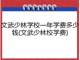 文武少林学校一年学费多少钱(文武少林校学费)