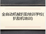 全自动机械扒胎培训学校(扒胎机培训)