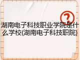 湖南电子科技职业学院是什么学校(湖南电子科技职院)