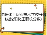 沈阳化工职业技术学校分数线(沈阳化工职校分数)