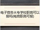 电子商务大专学校职高可以报吗(电商职高可报)