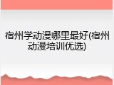 宿州学动漫哪里最好(宿州动漫培训优选)