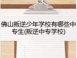 佛山叛逆少年学校有哪些中专生(叛逆中专学校)