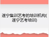 遂宁集训艺考的培训机构(遂宁艺考培训)