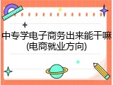 中专学电子商务出来能干嘛(电商就业方向)