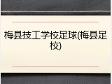 梅县技工学校足球(梅县足校)