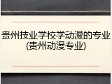 贵州技业学校学动漫的专业(贵州动漫专业)