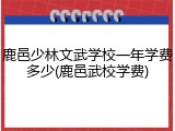 鹿邑少林文武学校一年学费多少(鹿邑武校学费)