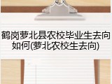 鹤岗萝北县农校毕业生去向如何(萝北农校生去向)