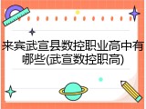 来宾武宣县数控职业高中有哪些(武宣数控职高)