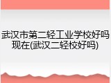 武汉市第二轻工业学校好吗现在(武汉二轻校好吗)