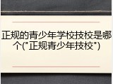 正规的青少年学校技校是哪个("正规青少年技校")