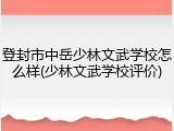 登封市中岳少林文武学校怎么样(少林文武学校评价)