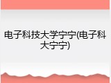 电子科技大学宁宁(电子科大宁宁)
