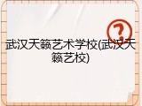 武汉天籁艺术学校(武汉天籁艺校)