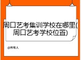 周口艺考集训学校在哪里(周口艺考学校位置)