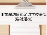 山东潍坊鲁能足球学校全部(鲁能足校)