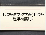 十堰叛逆学校学费(十堰叛逆学校费用)