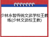 少林永智传统文武学校王教练(少林文武校王教)