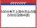 500分考不上高中怎么办呢(500分没高中读)