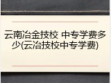 云南冶金技校 中专学费多少(云冶技校中专学费)