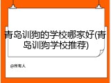 青岛训狗的学校哪家好(青岛训狗学校推荐)