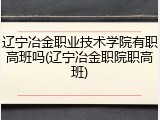 辽宁冶金职业技术学院有职高班吗(辽宁冶金职院职高班)