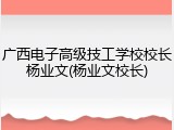 广西电子高级技工学校校长杨业文(杨业文校长)