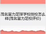 茂名富力足球学校技校怎么样(茂名富力足校评价)