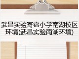 武昌实验寄宿小学南湖校区环境(武昌实验南湖环境)