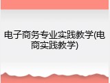 电子商务专业实践教学(电商实践教学)