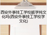 西安外事技工学校能学纯文化吗(西安外事技工学校学文化)