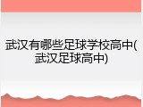 武汉有哪些足球学校高中(武汉足球高中)
