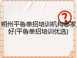 朔州平鲁单招培训机构哪家好(平鲁单招培训优选)