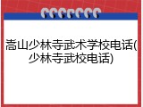 嵩山少林寺武术学校电话(少林寺武校电话)