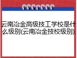 云南冶金高级技工学校是什么级别(云南冶金技校级别)
