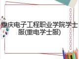 重庆电子工程职业学院学士服(重电学士服)