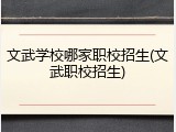 文武学校哪家职校招生(文武职校招生)