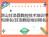 凉山甘洛县数控技术培训学校排名(甘洛数控培训排名)