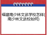 福建南少林文武学校怎样(南少林文武校如何)