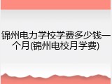 锦州电力学校学费多少钱一个月(锦州电校月学费)