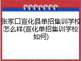 张家口宣化县单招集训学校怎么样(宣化单招集训学校如何)