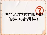 中国的足球学校有哪些职中的(中国足球职中)