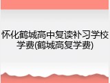 怀化鹤城高中复读补习学校学费(鹤城高复学费)