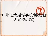 广州恒大足球学校现状(恒大足校近况)