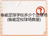 鲁能足球学校多少个足球场(鲁能足校球场数量)