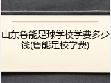 山东鲁能足球学校学费多少钱(鲁能足校学费)
