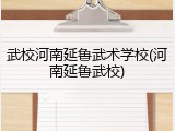武校河南延鲁武术学校(河南延鲁武校)