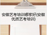 安徽艺考培训哪家好(安徽优质艺考培训)
